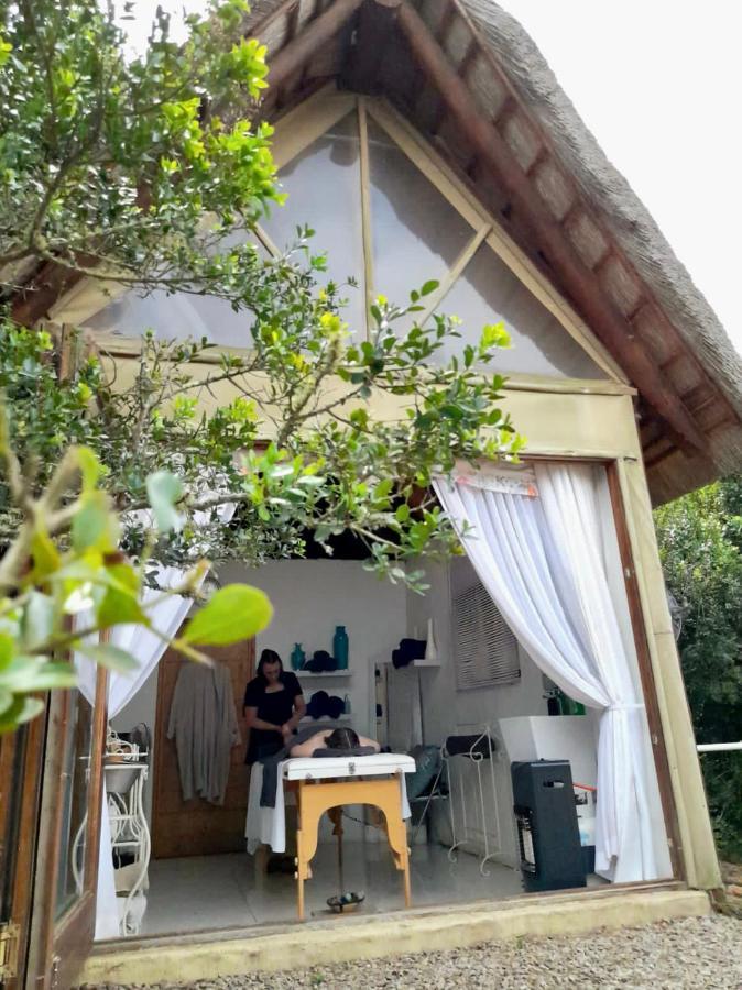 Bush Lodge - 阿马卡拉保护区 外观 照片
